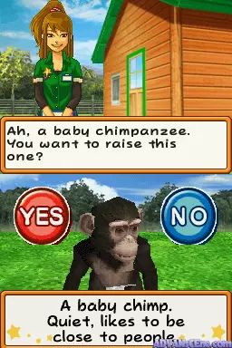 Image n° 3 - screenshots : My Pet Chimp